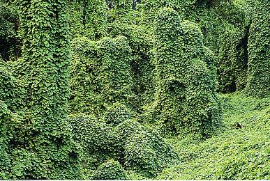 《命运2》承诺将降低刷取异域职业装备和勇者武器难度